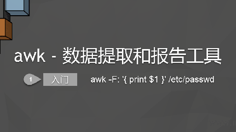 awk - 数据提取和报告工具 (1) 入门-min.png