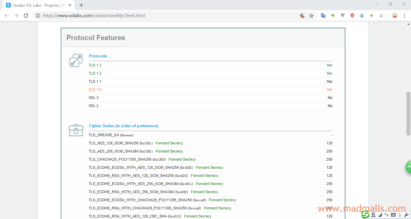 查看浏览器支持的 TLS 功能